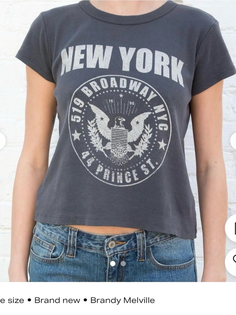 Brandy Melville Charcoal New York Graphic Crop Tee